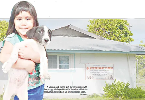 Young girl with her puppy in front of Vet clinic.